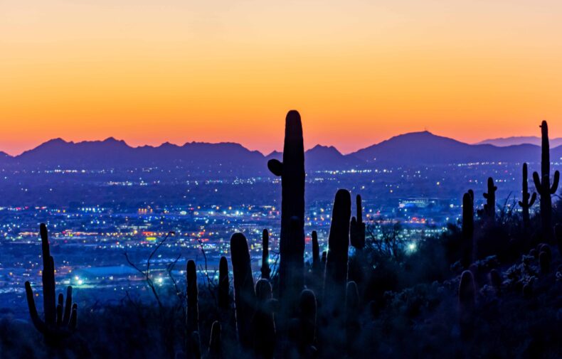 night time for of Scottsdale with cactus and sunset