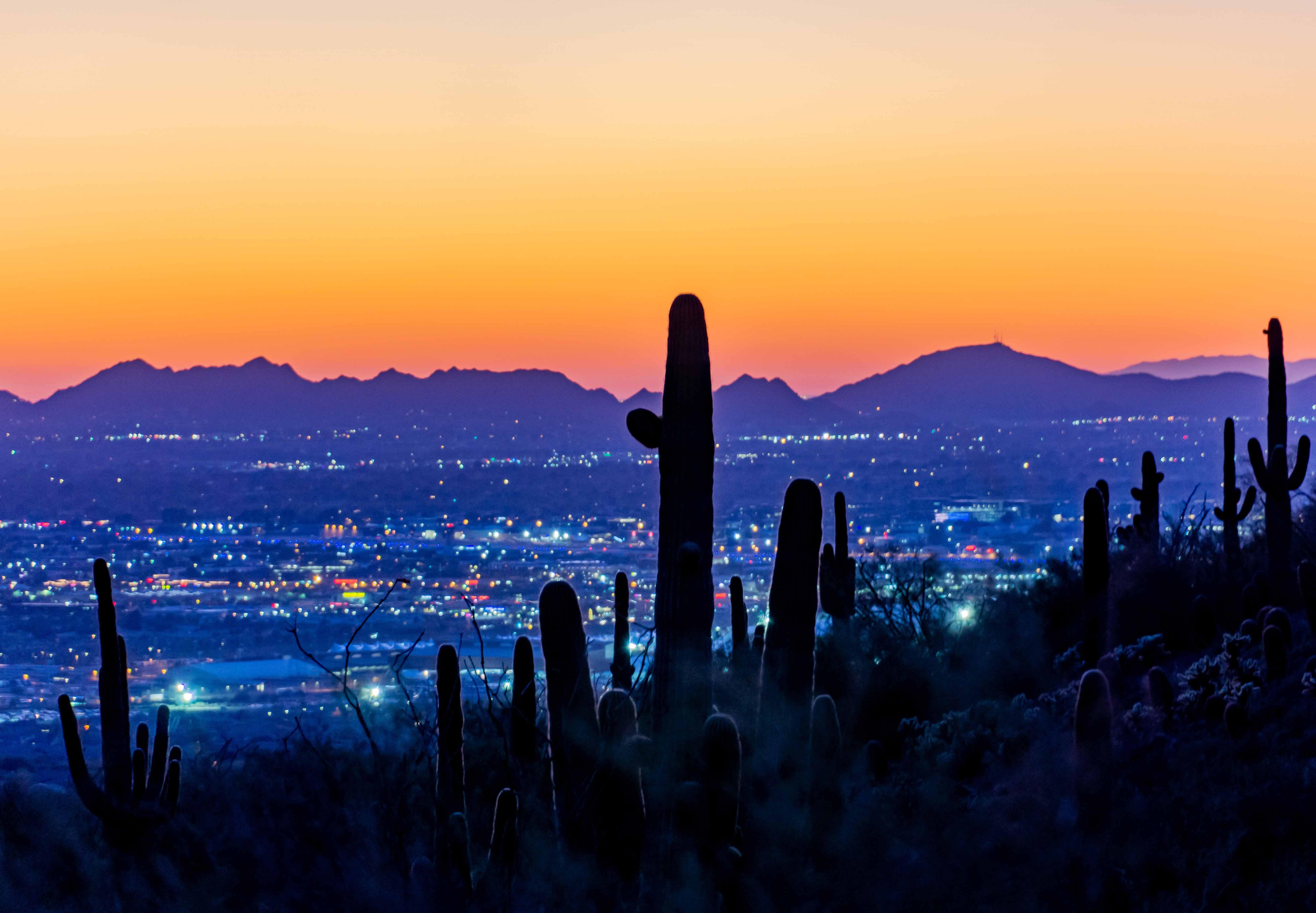 night time for of Scottsdale with cactus and sunset