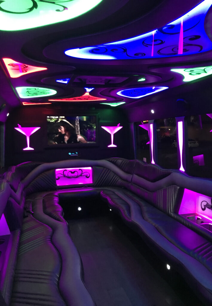 Our 24-passenger party bus is great for a wedding after party