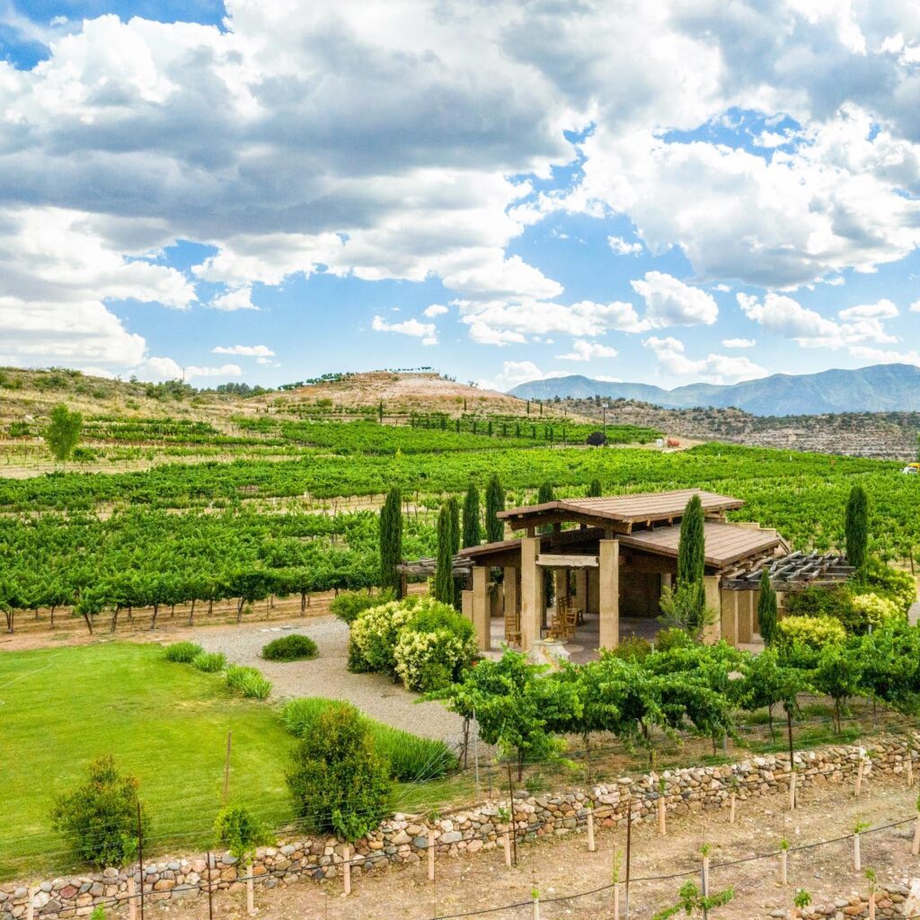 wine tasting Sedona venue with scenic view of vineyards