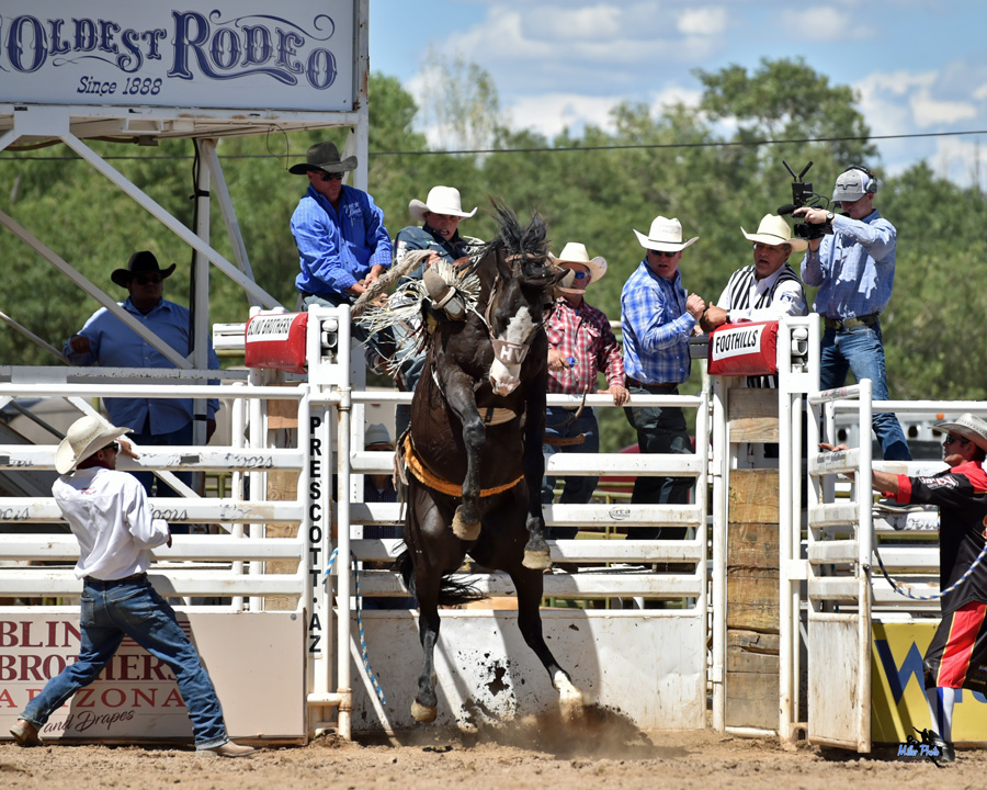 World's Oldest Rodeo is back again this July in Prescott